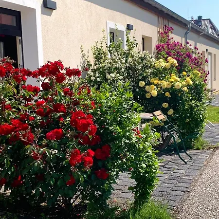 Senfbude - Klein Aber Fein - Wunderschoenes Studio-apartment Mit Terrasse Und Stellplatz Apartment Leipzig